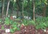 Residentes en los Jardines del Norte demandan de las autoridades solucionar problema de cañada desbordada