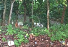 Residentes en los Jardines del Norte demandan de las autoridades solucionar problema de cañada desbordada