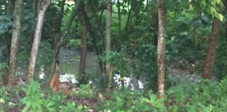 Residentes en los Jardines del Norte demandan de las autoridades solucionar problema de cañada desbordada