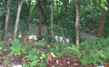 Residentes en los Jardines del Norte demandan de las autoridades solucionar problema de cañada desbordada