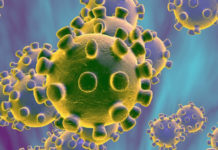 Qué es el Coronavirus y como protegerte