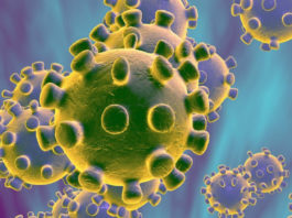Qué es el Coronavirus y como protegerte