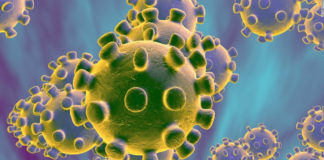 Qué es el Coronavirus y como protegerte