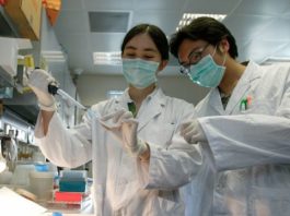 OMS declara al coronavirus chino como ‘patógeno de alto riesgo mundial’