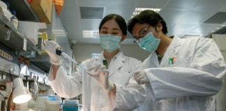 OMS declara al coronavirus chino como ‘patógeno de alto riesgo mundial’