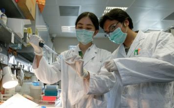 OMS declara al coronavirus chino como ‘patógeno de alto riesgo mundial’