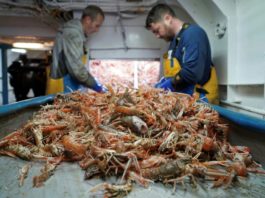 Pescadores británicos ponen sus esperanzas de prosperidad en el Brexit