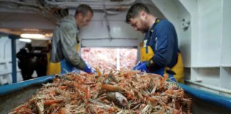 Pescadores británicos ponen sus esperanzas de prosperidad en el Brexit