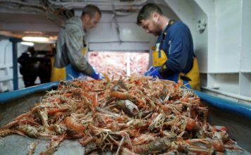 Pescadores británicos ponen sus esperanzas de prosperidad en el Brexit