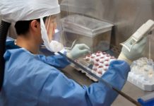 Japón confirma el primer caso de infección por nuevo virus de China