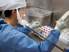 Japón confirma el primer caso de infección por nuevo virus de China