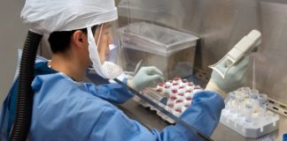 Japón confirma el primer caso de infección por nuevo virus de China