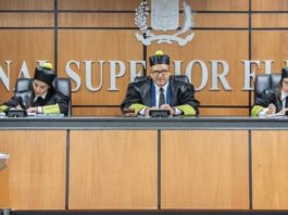 Presidente del TSE sobre presupuesto 2020: “El tribunal se va a arropar con la sábana que se tenga”