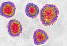 Coronavirus llega a América: Estados Unidos registra el primer infectado