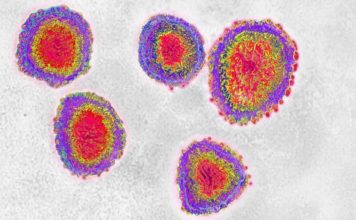 Coronavirus llega a América: Estados Unidos registra el primer infectado