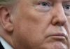 Impeachment a Donald Trump: el Senado de EE.UU. absuelve al presidente