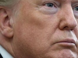 Impeachment a Donald Trump: el Senado de EE.UU. absuelve al presidente