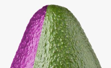 Vaticinan que el PLD se quedara solo por los “aguacates” de Leonel