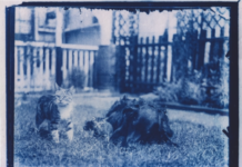 Encuentran en una ‘capsula del tiempo’ fotografías de hace 120 años (VIDEO)