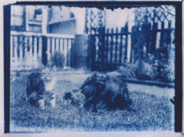 Encuentran en una ‘capsula del tiempo’ fotografías de hace 120 años (VIDEO)