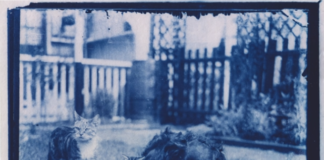 Encuentran en una ‘capsula del tiempo’ fotografías de hace 120 años (VIDEO)