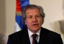 La OEA, la IFES y la Uniore investigarán suspensión de elecciones municipales