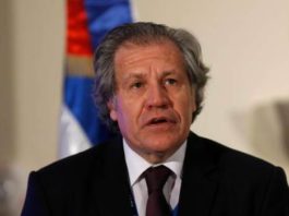 Organización de los Estados Americanos acepta auditar equipos de voto automatizado usados en elecciones municipales