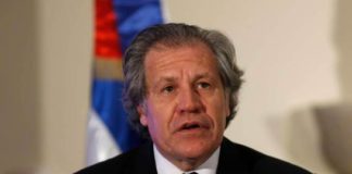 Organización de los Estados Americanos acepta auditar equipos de voto automatizado usados en elecciones municipales