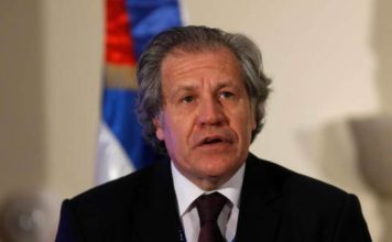 La OEA, la IFES y la Uniore investigarán suspensión de elecciones municipales