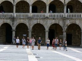 Carritos eléctricos sustituirán caballos en la Ciudad Colonial, para evitar sufrimiento de animales
