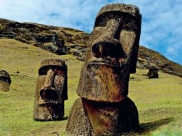 Desenterraron Las Ancestrales Cabezas De La Isla De Pascua Y Descubrieron Que No Eran Solo Cabezas