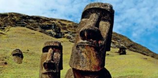 Desenterraron Las Ancestrales Cabezas De La Isla De Pascua Y Descubrieron Que No Eran Solo Cabezas
