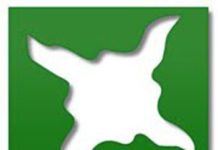 Participación Ciudadana dice Junta Central Electoral debe llamar a capítulo a Temo Montás