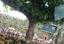 Unidades del Ejército llegan a San Francisco de Macorís, una de las zonas con más COVID-19