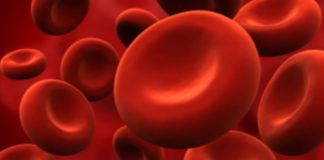 ¿Cómo afecta el Coronavirus a cada grupo sanguíneo?
