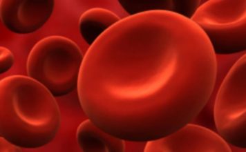 Salud Pública da seguimiento en Ocoa a 85 personas que vinieron del extranjero