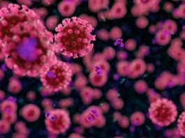 Reflexionando en torno al Coronamuerte