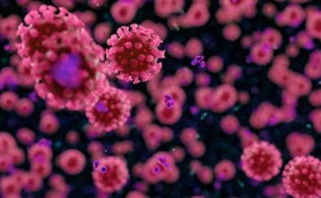 2,620 contagiados y 271 casos nuevos del COVID-19 en RD