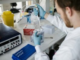 Personas en 6 continentes prueban vacunas contra el COVID-19