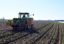 Francia insta a los desempleados a ir al campo a ayudar a los agricultores