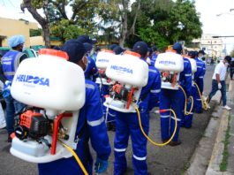 Helidosa dispone programa de fumigación en varios sectores de la capital