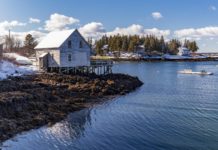 La vista desde mi ventana