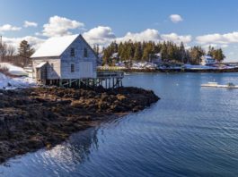 La vista desde mi ventana