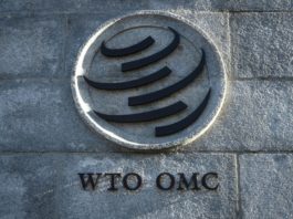 El comercio mundial podría caer una tercera parte debido al coronavirus, advierte la OMC