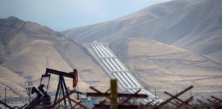 El precio del crudo de EEUU se desploma por debajo de 13 dólares el barril