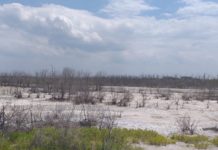 Solicitan intervención de Medio Ambiente frente a acelerada sequía en Bahía de Manzanillo