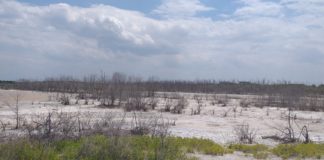Solicitan intervención de Medio Ambiente frente a acelerada sequía en Bahía de Manzanillo