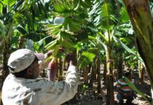 La Unión Europea y sus aportes en RD: una relación de cohesión social