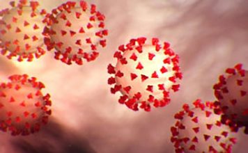 Aumentan a 763 los recuperados por COVID-19 en RD, fallecidos suman 267