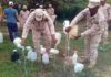Sube a 15 número de muertos por tomar clerén, un alcohol artesanal